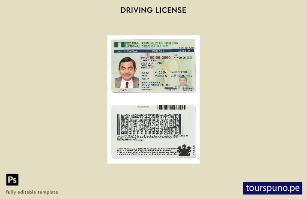 Plantilla de licencia de conducir de Nigeria lista para imprimir